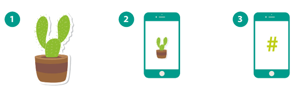 Plant Snap Post