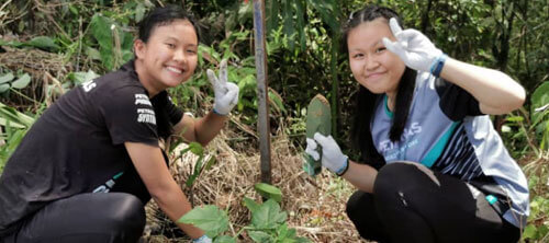 Crocker Range: Tree Planting