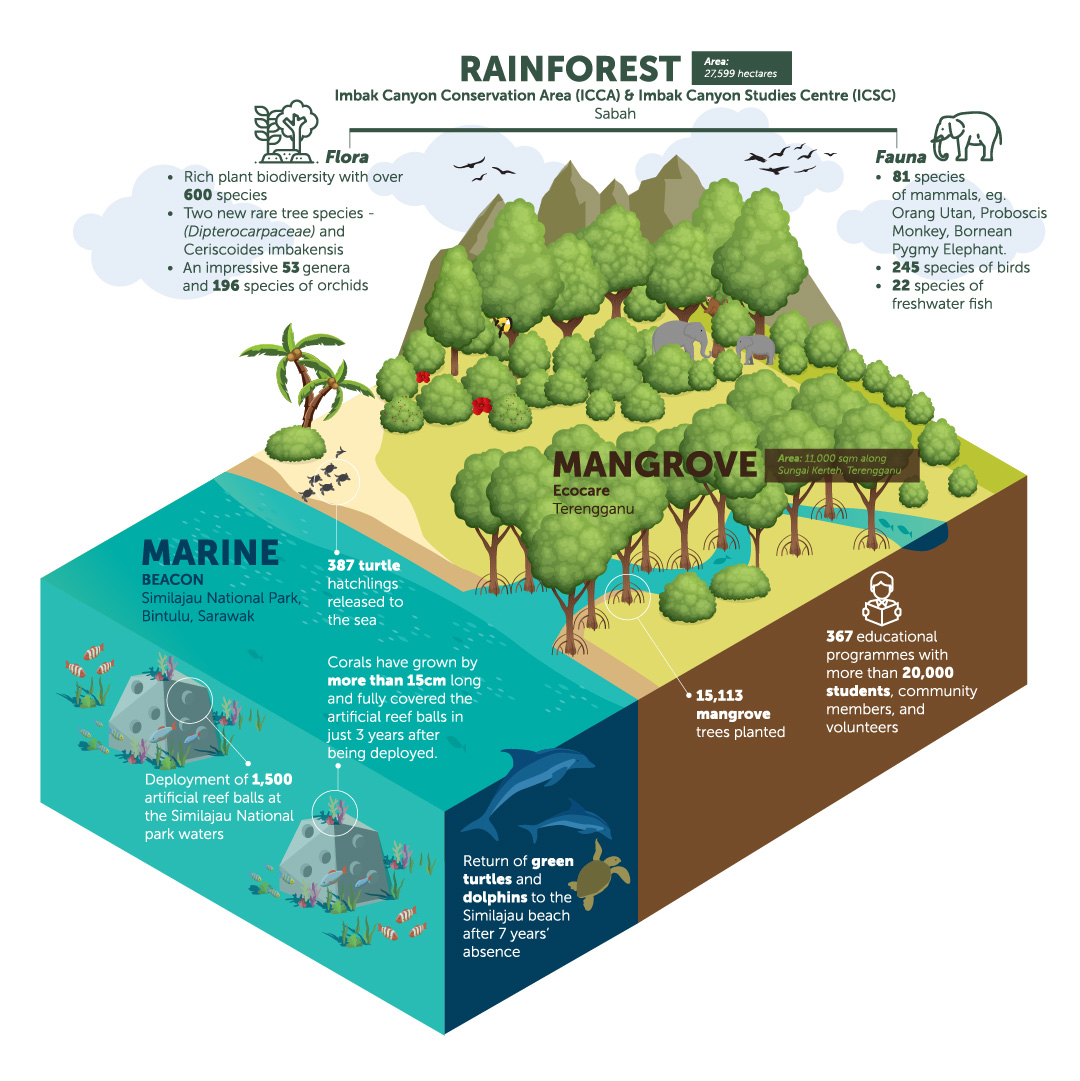 Biodiversity: Saving the Environment to Save Ourselves | Yayasan PETRONAS