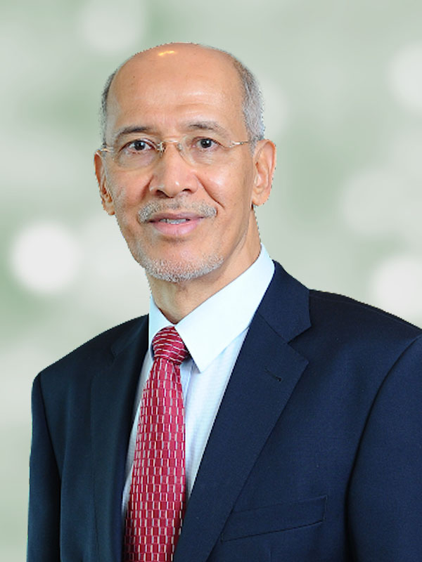 Tan Sri Mohd Bakke Salleh