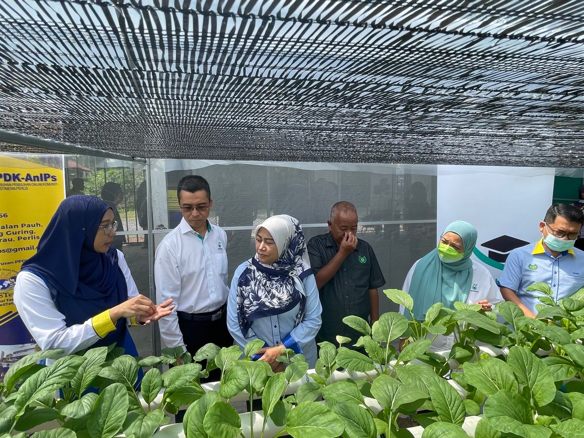 Nazmin Abdullah, Director of Perlis Special Teens Centre (PeSTeC) (far left) explaining about hydroponic grown vegetables as part of the centre’s self-sustaining initiative to YB Rozieana Ahmad, Perlis State Executive Councillor of Education (centre, left), Zukifli Othman, Head of PETRONAS Central and Northern Region (second from left), YB Nurulhisham Yaakob, Perlis State Executive Councillor of Agriculture (centre), Julika Ishak, Head of Planning and Services Yayasan PETRONAS and Rusdi Yahya, Deputy State Secretary (Development) of Perlis (far right).