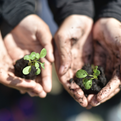 Media for Environment